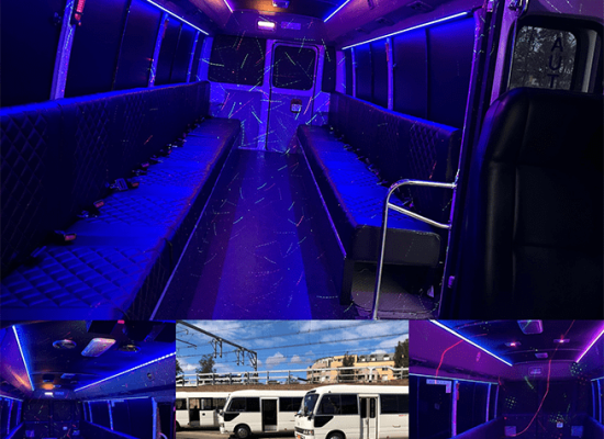 23-seat-limo-bus 23-seat-limo-bus